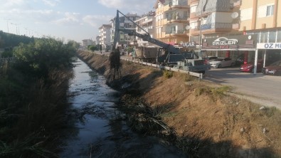 Balik Ölümleriyle Gündeme Gelen Kanal Temizleniyor