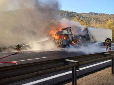 Bilecik'te Kesilmis Tavuk Yüklü Tir Cayir Cayir Yandi