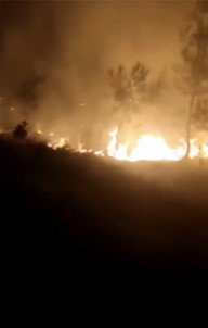 Bursa'da Ormanlik Alanda Korkutan Yangin