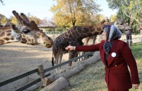 Bursa Hayvanat Bahçesi 24 Yasinda