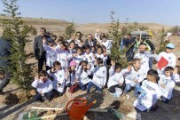 Büyüksehir, Milli Agaçlandirma Günü'nde 5 Bin Agaç Ile Dogaya Sahip Çikacak