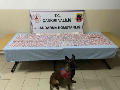 Çankiri'da Jandarma Ekipleri Suça Geçit Vermiyor