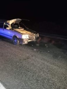 Cenazeye Giderken Ata Çarptilar Açiklamasi 5 Yarali