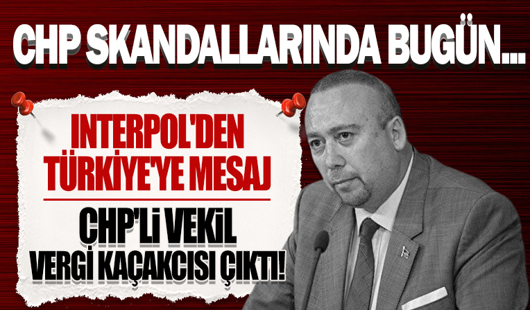 CHP'li Vekil Özkan Yalım için INTERPOL'den Türkiye'ye mesaj: Vergi kaçakçısı çıktı