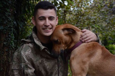 Fino Isimli Köpegin Askerden Dönen Sahibini Karsilamasi Duygulandirdi