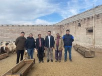 'Köyümde Yasamak Için Bir Sürü Nedenim Var Projesi' Özalp'ta Yüzleri Güldürdü