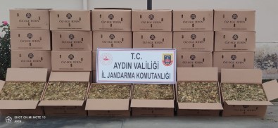Nazilli'de 720 Kilo Kaçak Tütün Ele Geçirildi