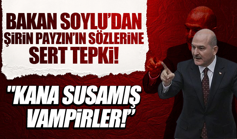 Şirin Payzın'dan skandal sözlerine Bakan Soylu'dan sert tepki: Kana susamış vampirler...