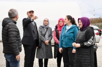 Terme'de Alternatif Tarima Destek