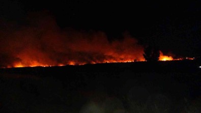 Uluslararasi Koruma Altinda Bulunan Göksu Deltasi'nda Yangin