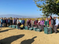 Üzüm Baginda Atatürk'ü Unutmadilar