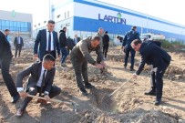 Sungurlu'da 800 Fidan Toprakla Bulustu