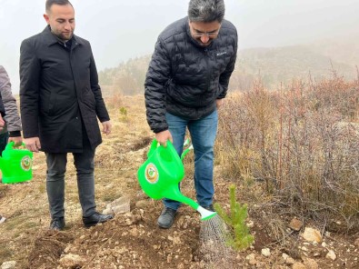 Ak Gençler 500 Fidani Toprakla Bulusturdu