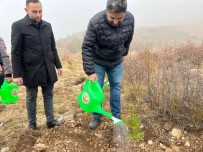 Ak Gençler 500 Fidani Toprakla Bulusturdu