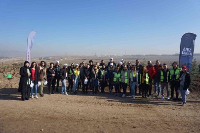 Enerji Çalisanlari Haftasi'ni Fidan Dikerek Kutladilar