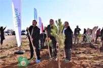 Inönü'de 5 Bin Fidan Toprakla Bulustu