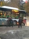 Otobüs 5 Metre Ileride Indirdi Diye Kavga Çikartti