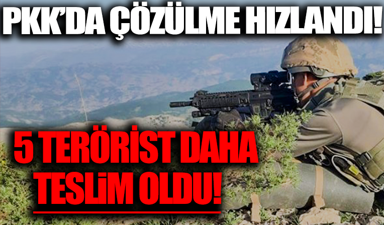 Pençe Kilit operasyonuyla köşeye sıkışan PKK'da çözülme hızlandı: 5 terörist daha teslim oldu