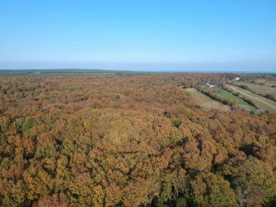 Sinop'ta Essiz Sonbahar Güzelligi