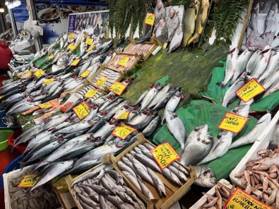 Tezgahlarda Çinekop Bollasti, Fiyati Yari Yariya Düstü