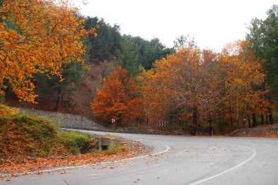 Adana'nin Sakli Cenneti Belemedik Renk Cümbüsüne Büründü
