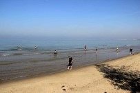 Aydin'da Deniz Keyfi Devam Ediyor