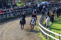 Ordu'da Atlar, Ata Için Kostu