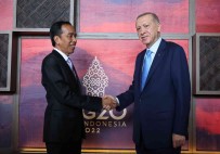 Cumhurbaskani Erdogan, Endonezya Devlet Baskani Widodo Ile Görüstü