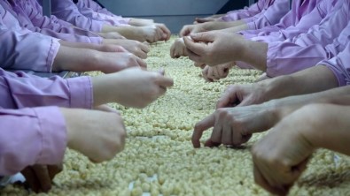 14 Bin 325 Ton 261 Kilo Findik Ihraç Edildi