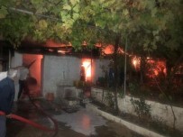 Mugla'da Ahir Yangini