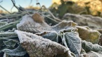 Agri'da Termometreler Eksi 2 Dereceyi Gösterdi