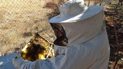 Hobi Ile Basladi Hanim Aga Olma Yolunda Ilerliyor