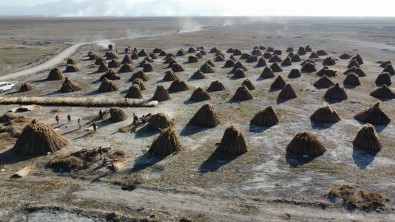 (ÖZEL) 5 Aylik Kamis Sezonunda 1 Milyon Dolarlik Ihracat Yapiyorlar