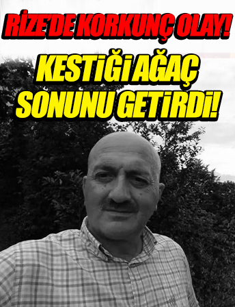 Rize'de acı olay: Kestiği ağacın altında kalarak feci şekilde can verdi