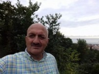 Rize'de acı olay: Kestiği ağacın altında kalarak feci şekilde can verdi