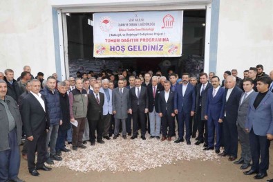 Siirt'te 523 Çiftçiye 5 Milyon Lira Degerinde 275 Ton Mercimek Tohumu Destegi Verildi