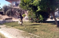 Akdeniz'de Park Ve Yesil Alanlar Elden Geçiriliyor