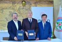 Akkus'a Organik Findik Isleme Tesisi