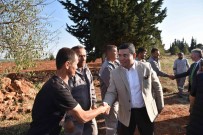 Antalya Orman Çiftligi'nde Bugday Tohumlari Toprakla Bulustu