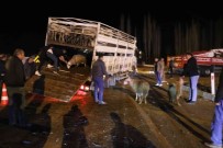 Canli Hayvan Yüklü Kamyonetle Çarpisan Otomobilde 2 Kisi Yaralandi