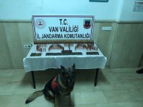 Çatak'ta Çok Sayida Mühimmat Ele Geçirildi