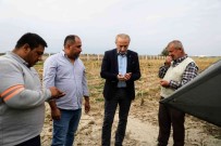 Didim Belediyesi Üretiyor, Vatandas Kazaniyor