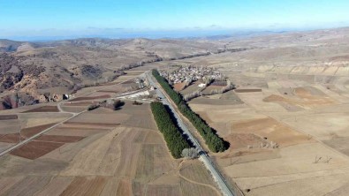 Dikilis Nedenleri Görüntüsü Kadar Dikkat Çekici