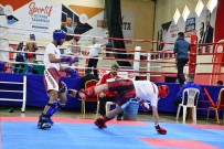 Kick Boks Zafer Kupasi Basladi