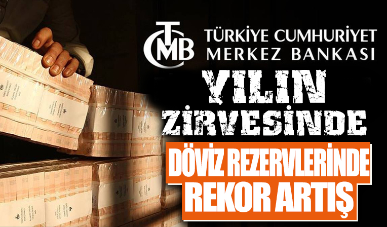 Merkez Bankası döviz rezervleri yılın zirvesine yükseldi
