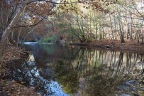 'Sakin Sehir' Arapgir'de Sonbahar Göz Kamastiriyor