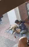 Yemegini Sokak Köpegi Ile Paylasti, Sosyal Medyada Viral Oldu