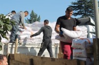 221 Üreticiye 95 Bin Kilo Bugday Dagitildi