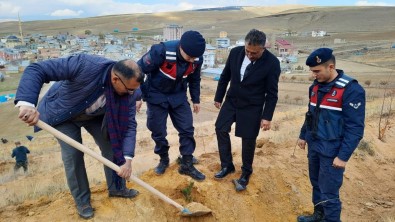 24 Kasim Ögretmenler Günü Hatirasina Fidanlar Toprakla Bulusturuldu