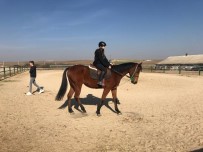 Ara Tatili At Üstünde Geçirdiler